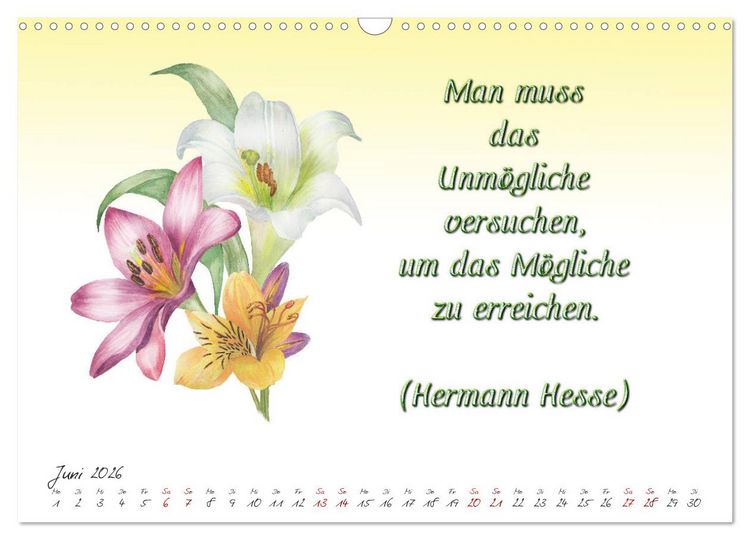 Produktbild: 12 unterhaltsame Zitate f&uuml;r ein sch&ouml;nes Jahr (Wandkalender 2026 DIN A3 quer), CALVENDO Monatskalender