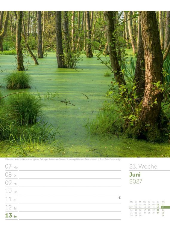 Produktbild: Unser Wald Wochenplaner Kalender 2027