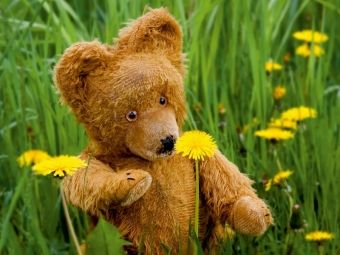 Produktbild: CALVENDO Puzzle Die ersten Blumen | 1000 Teile Lege-Gr&ouml;&szlig;e 64x48cm Foto-Puzzle f&uuml;r gl&uuml;ckliche Stunden
