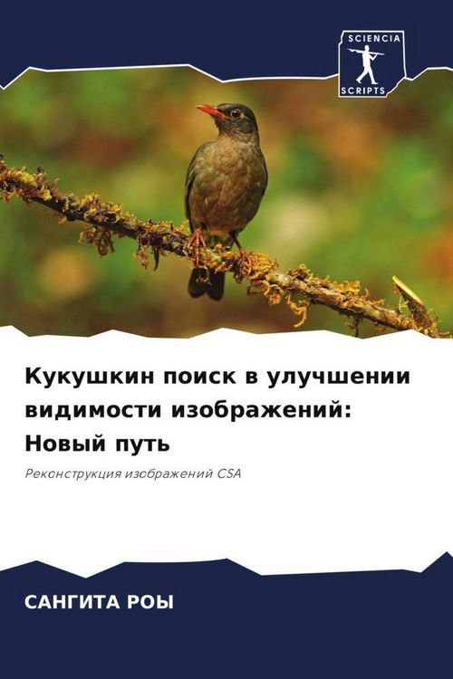 Produktbild: Kukushkin poisk w uluchshenii widimosti izobrazhenij: Nowyj put'