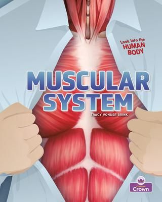 Produktbild: Muscular System