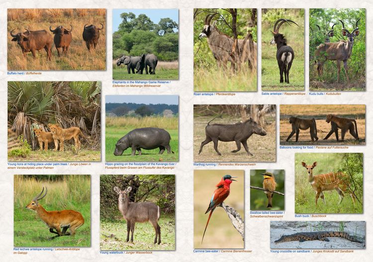 Produktbild: NAMIBIA