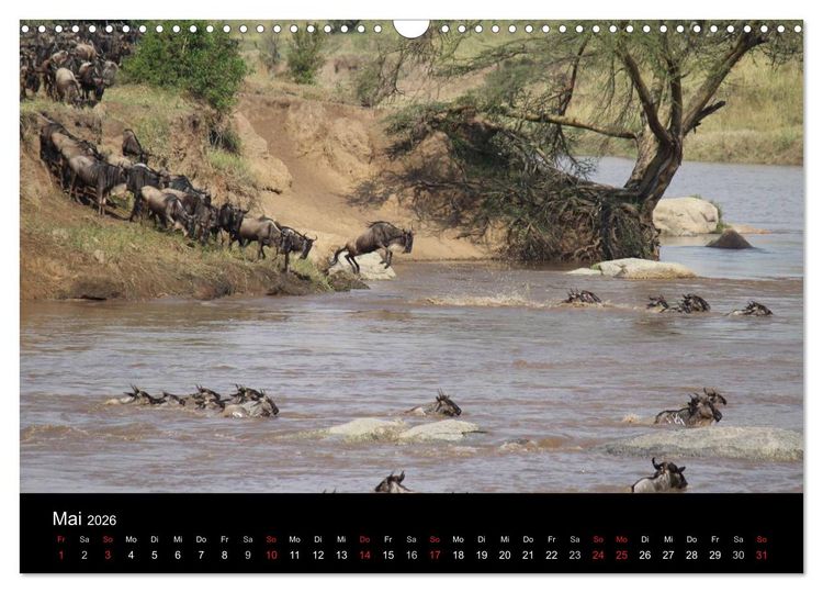 Produktbild: Tansania (Wandkalender 2026 DIN A3 quer), CALVENDO Monatskalender