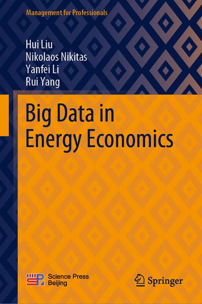 Produktbild: Big Data in Energy Economics