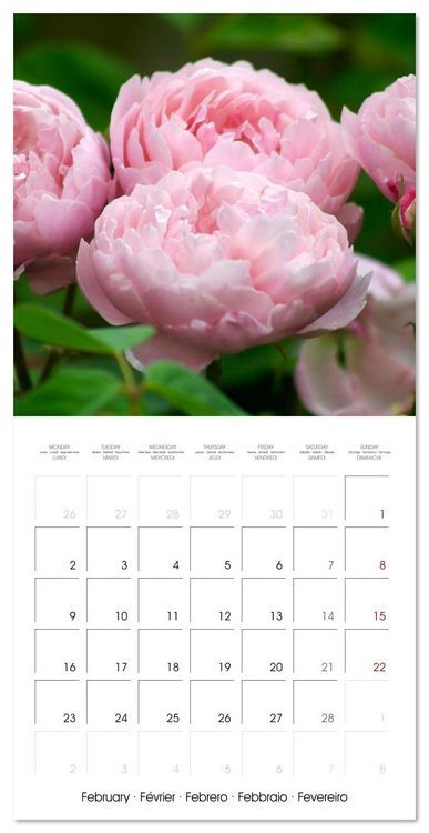 Produktbild: LE PARFUM ENVO&Ucirc;TANT DES ROSES (Calendrier mural carr&eacute; 2026 30x30 cm) Calendrier double avec une page pour vos prises de notes