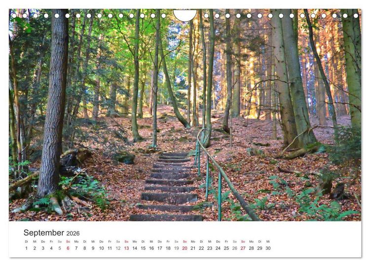 Produktbild: Wege durchs Jahr- Zitate begleiten auf romantisch sch&ouml;nen Wegen (Wandkalender 2026 DIN A4 quer), CALVENDO Monatskalender