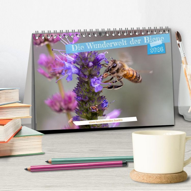 Produktbild: Die Wunderwelt der Biene (Tischkalender 2026 DIN A5 quer), CALVENDO Monatskalender