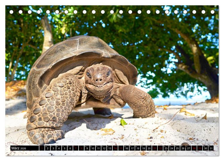 Produktbild: Seychellen Inselblicke (Tischkalender 2026 DIN A5 quer), CALVENDO Monatskalender