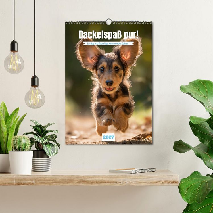 Produktbild: Dackelspa&szlig; pur! (Wandkalender 2027 DIN A3 hoch), CALVENDO Monatskalender