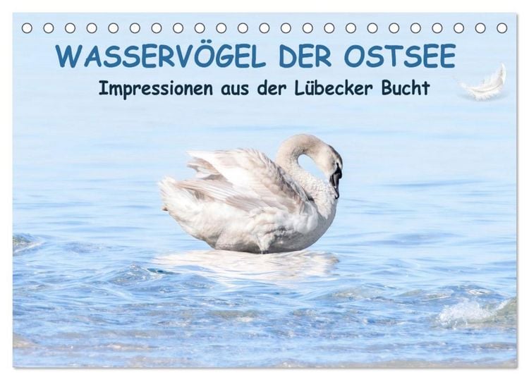 Produktbild: Wasserv&ouml;gel der Ostsee - Impressionen aus der L&uuml;becker Bucht (Tischkalender 2026 DIN A5 quer), CALVENDO Monatskalender