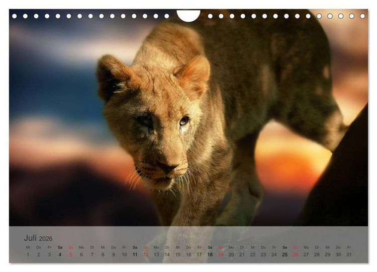 Produktbild: Afrikas sch&ouml;ne Tierwelt (Wandkalender 2026 DIN A4 quer), CALVENDO Monatskalender