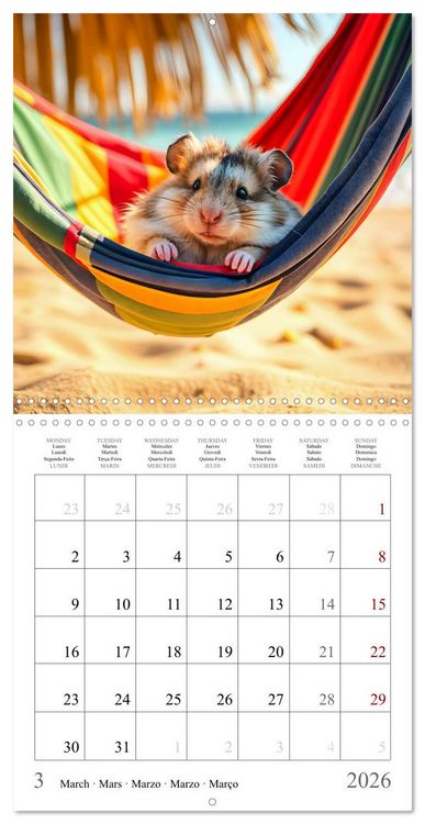 Produktbild: On holiday with AI hamsters (Wall Calendar 2026 12 &times; 12 Inch) CALVENDO 12 Month Wall Calendar