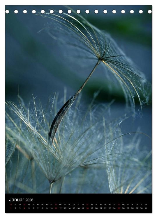 Produktbild: Kunst in der Natur (Tischkalender 2026 DIN A5 hoch), CALVENDO Monatskalender