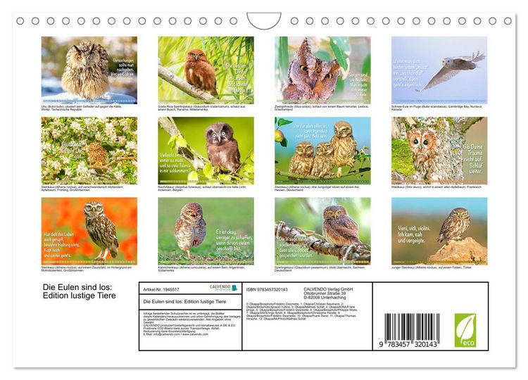 Produktbild: Die Eulen sind los: Edition lustige Tiere (Wandkalender 2026 DIN A4 quer), CALVENDO Monatskalender