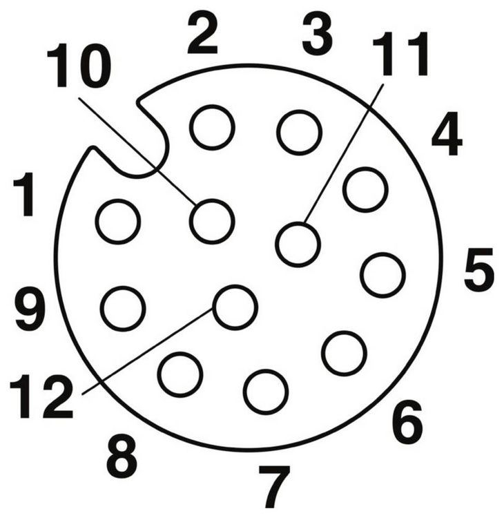 Produktbild: Phoenix Contact 1559631 Sensor-/Aktor-Steckverbinder, unkonfektioniert M12 Buchse, gerade Polzahl Sensoren: 12 1 St.