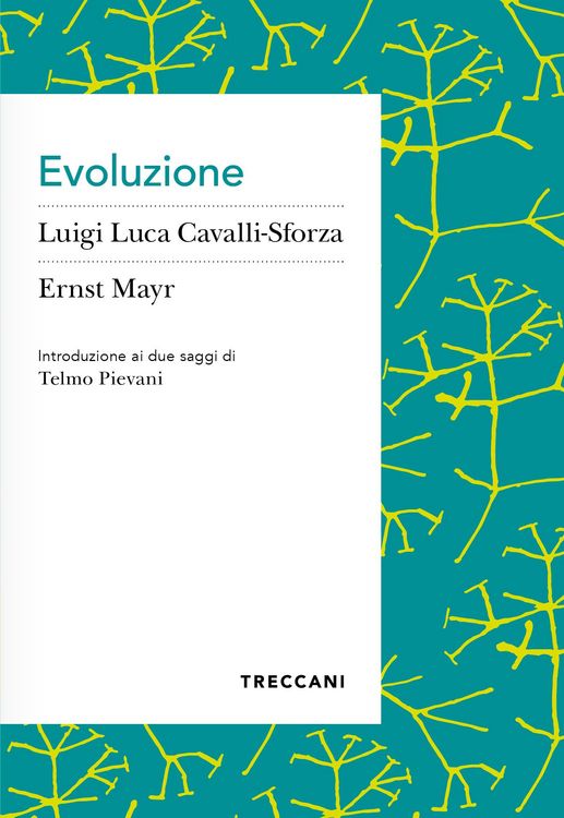 Produktbild: Evoluzione