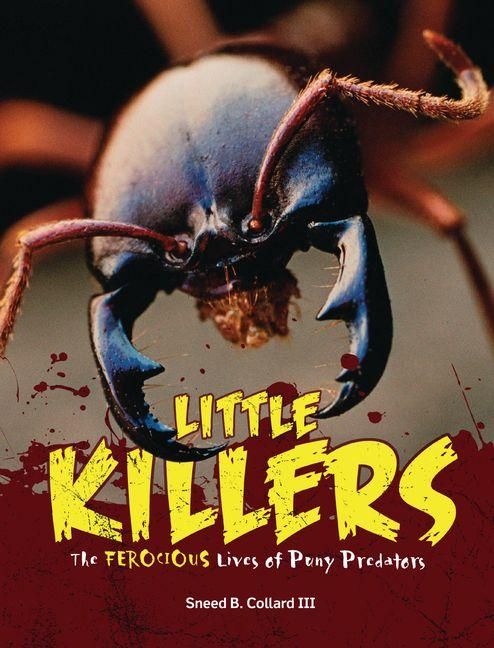 Produktbild: Little Killers