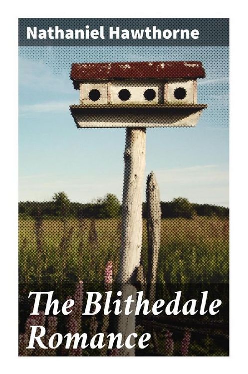 Produktbild: The Blithedale Romance