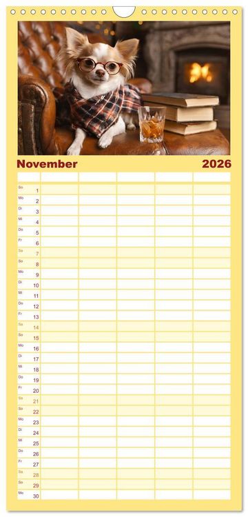 Produktbild: Familienplaner 2026 - Chillige Chihuahuas - Entspannte Fellnasen genie&szlig;en das Leben mit 5 Spalten (Wandkalender, 21 x 45 cm) CALVENDO