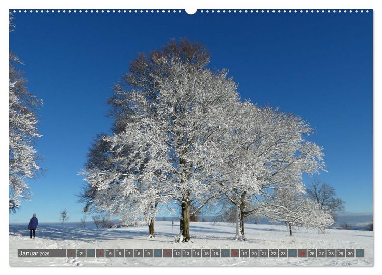 Produktbild: Stuttgarter Tagestouren (Wandkalender 2026 DIN A2 quer), CALVENDO Monatskalender