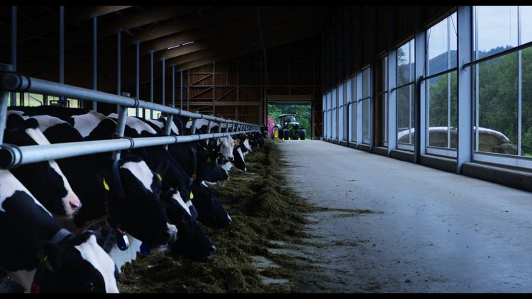 Produktbild: Bauer Unser