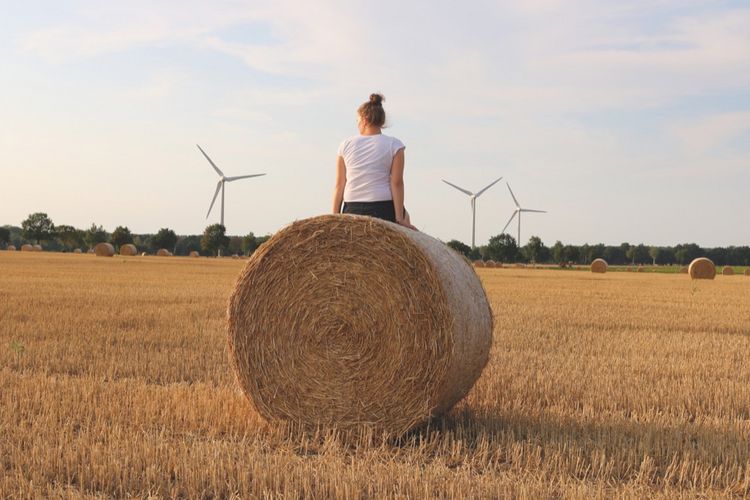 Produktbild: Besser naturbewusst leben