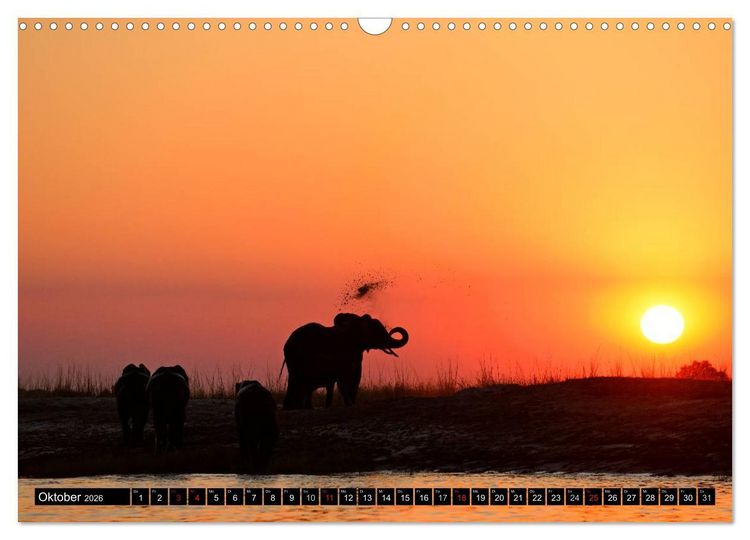 Produktbild: Magie des Augenblicks - Elefanten - Afrikas sanfte Riesen (Wandkalender 2026 DIN A3 quer), CALVENDO Monatskalender