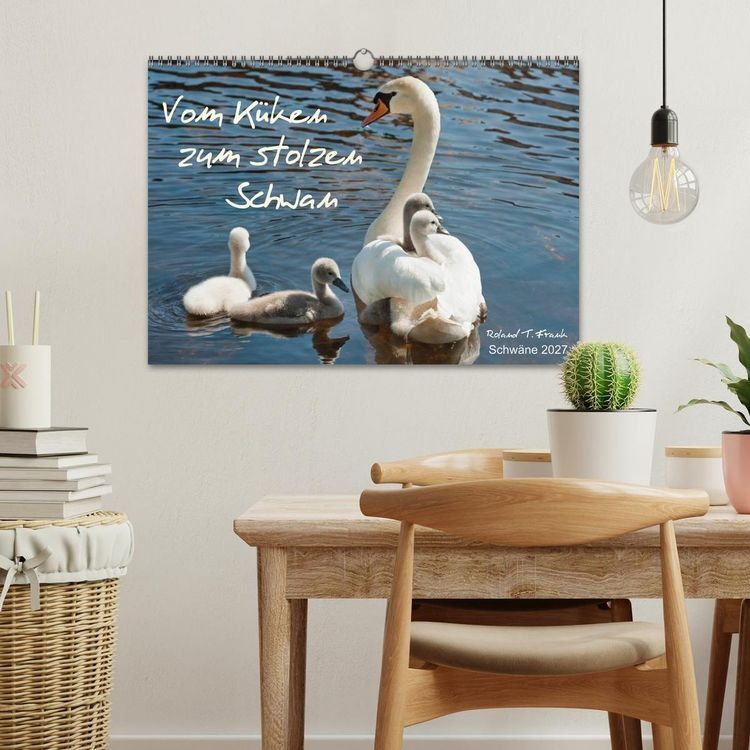 Produktbild: Vom K&uuml;ken zum stolzen Schwan (Wandkalender 2027 DIN A3 quer), CALVENDO Monatskalender