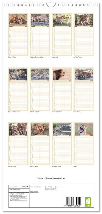 Produktbild: Familienplaner 2027 - L&ouml;wen - Raubkatzen Afrikas mit 5 Spalten (Wandkalender, 21 x 45 cm) CALVENDO