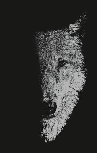 Produktbild: In the company of wolves