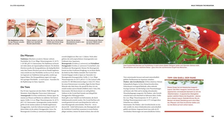 Produktbild: Aquascaping