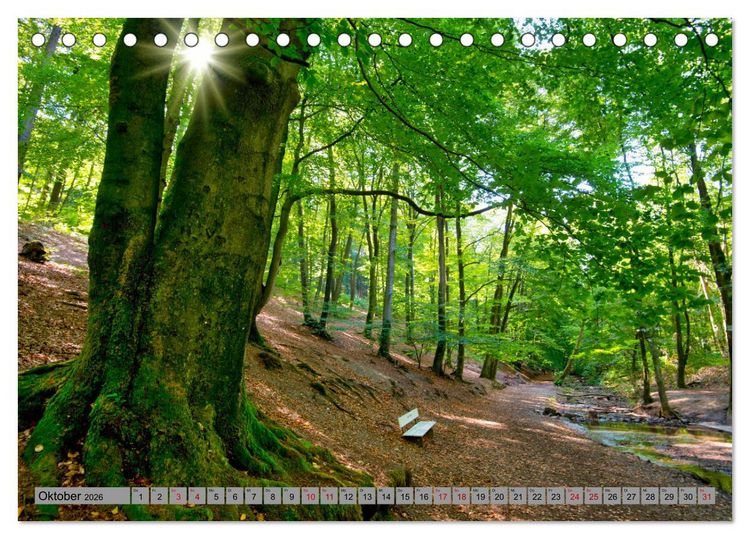 Produktbild: Streifzug durch Ostwestfalen (Tischkalender 2026 DIN A5 quer), CALVENDO Monatskalender