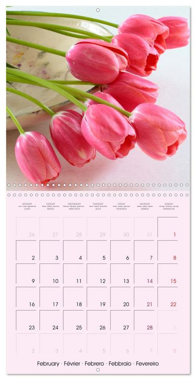 Produktbild: Tulipes &eacute;l&eacute;gantes (Calendrier mural carr&eacute; 2026 30x30 cm) Calendrier double avec une page pour vos prises de notes