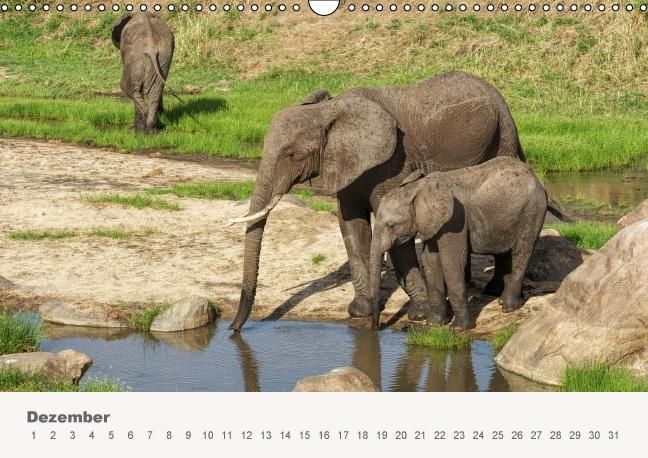 Produktbild: Faszination Ostafrika - Tierwelt und Natur aus Kenia und Tansania (Wandkalender immerw&auml;hrend DIN A3 quer)