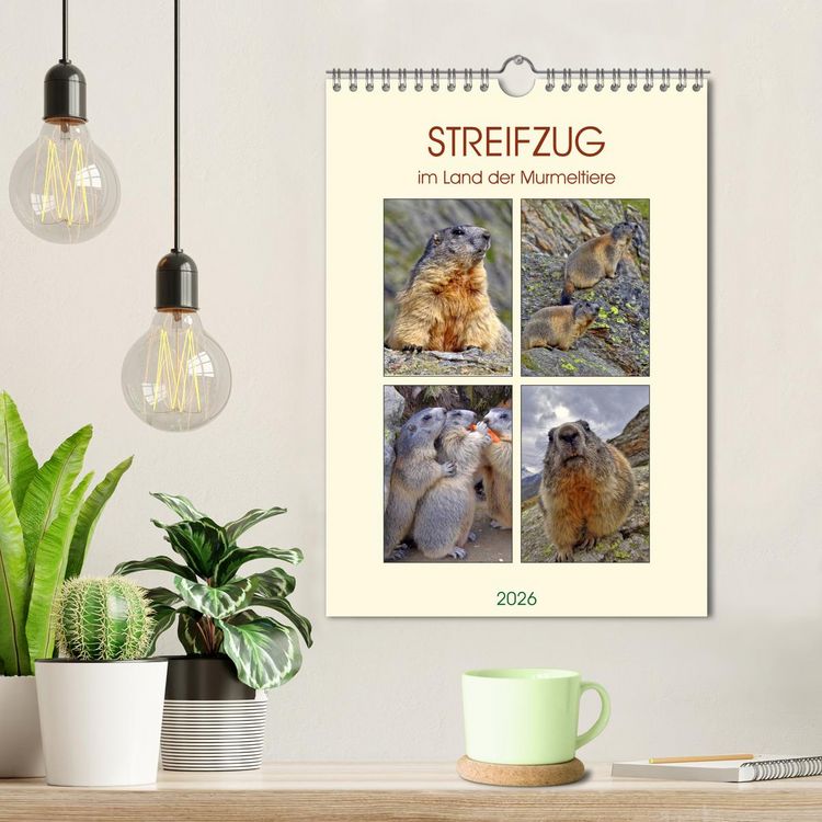 Produktbild: STREIFZUG im Land der Murmeltiere (Wandkalender 2026 DIN A4 hoch), CALVENDO Monatskalender