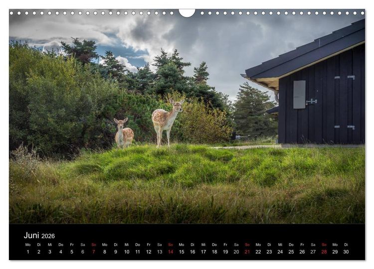 Produktbild: Fan&oslash; - Meine Insel (Wandkalender 2026 DIN A3 quer), CALVENDO Monatskalender