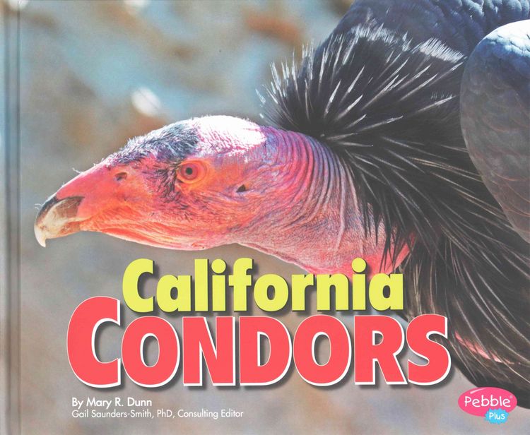 Produktbild: California Condors