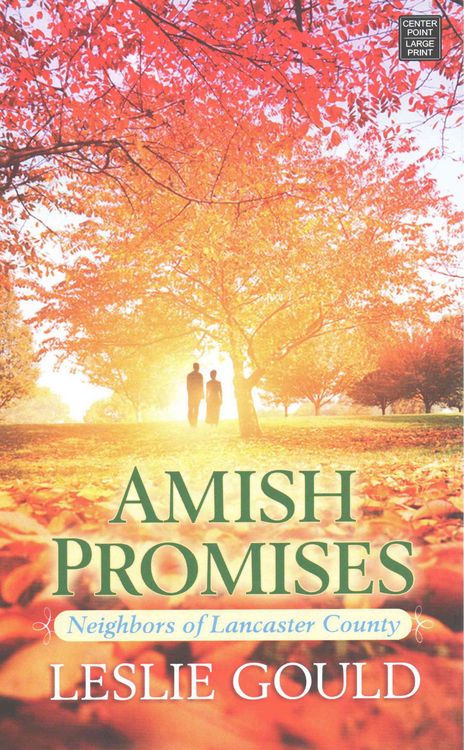 Produktbild: Amish Promises -Lp