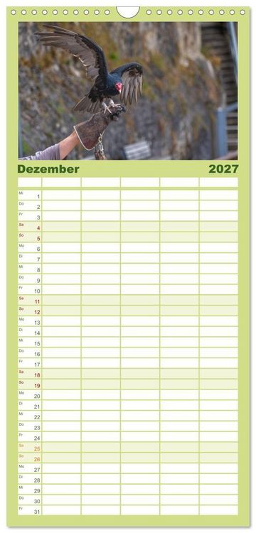 Produktbild: Familienplaner 2027 - Greifv&ouml;gel in Aktion - Dynamische Flugbilder und Portr&auml;ts mit 5 Spalten (Wandkalender, 21 x 45 cm) CALVENDO