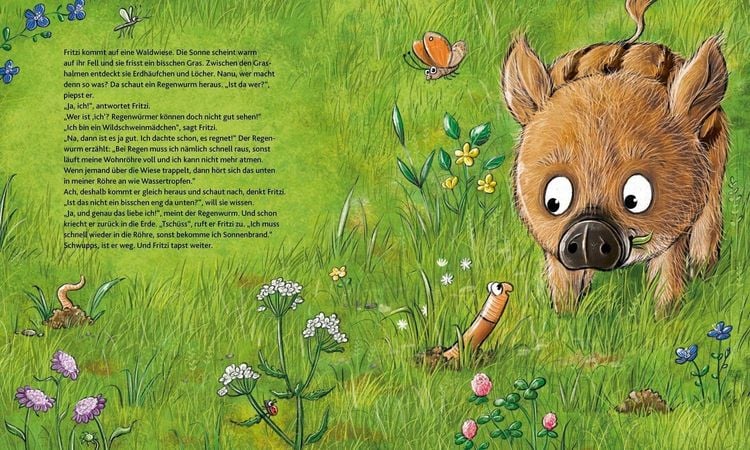 Produktbild: Wie wohnen die Waldtiere?