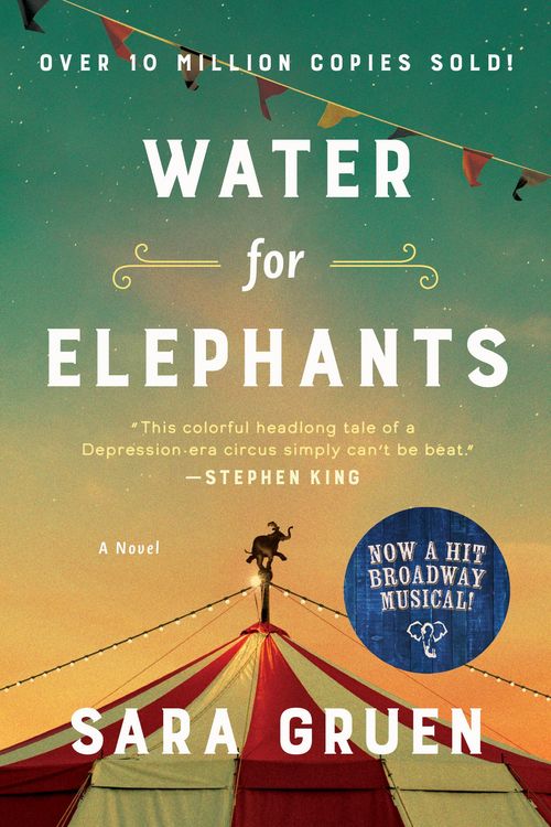 Produktbild: Water for Elephants