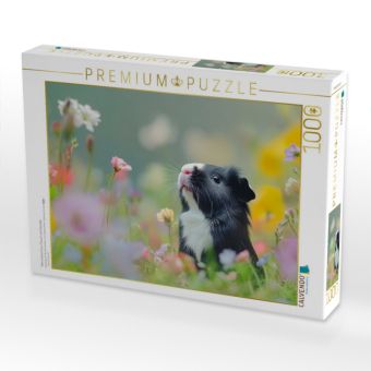 Produktbild: CALVENDO Puzzle Meerschweinchen: Flausch mit Charakter | 1000 Teile Lege-Gr&ouml;&szlig;e 64x48cm Foto-Puzzle f&uuml;r gl&uuml;ckliche Stunden