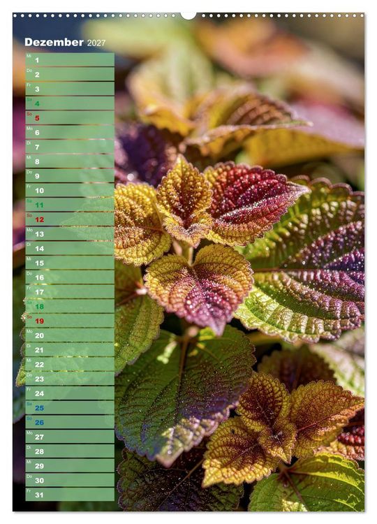 Produktbild: Bunte Farben der Natur (hochwertiger Premium Wandkalender 2027 DIN A2 hoch), Kunstdruck in Hochglanz
