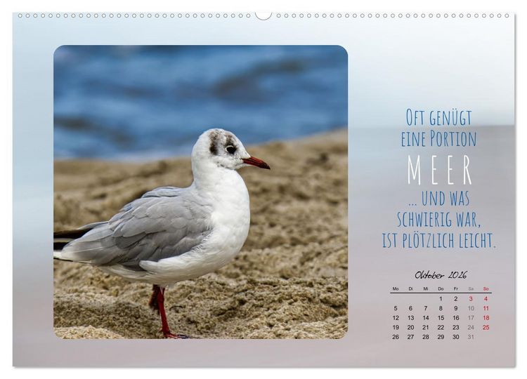 Produktbild: Mehr oder weniger Meer (Wandkalender 2026 DIN A2 quer), CALVENDO Monatskalender