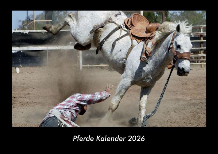 Produktbild: Pferde Kalender 2026 Fotokalender DIN A3