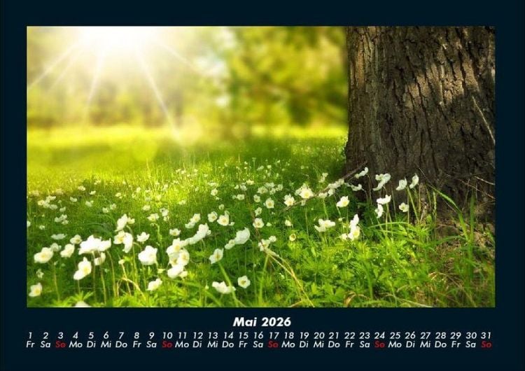 Produktbild: Blumenzauber 2026 Fotokalender DIN A4