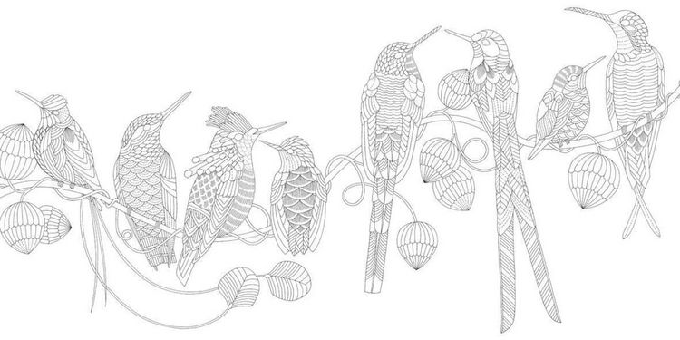 Produktbild: Millie Marotta's Beautiful Birds and Treetop Treasures: Mini Edition