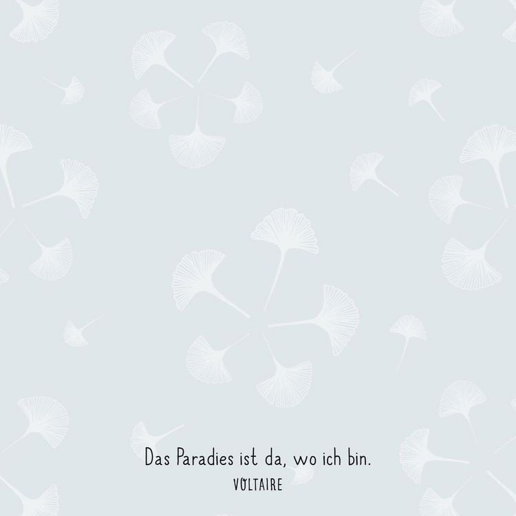 Produktbild: Zettelk&auml;stchen