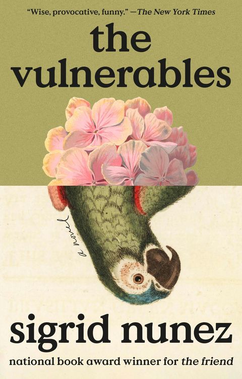 Produktbild: The Vulnerables