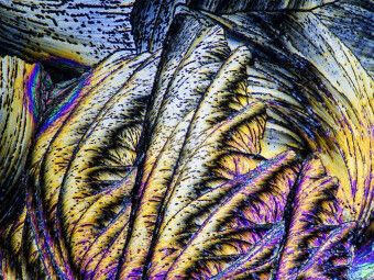 Produktbild: CALVENDO Puzzle &Auml;pfels&auml;ure und Sorbins&auml;ure | 1000 Teile Lege-Gr&ouml;&szlig;e 64 &times; 48 cm Foto-Puzzle f&uuml;r gl&uuml;ckliche Stunden